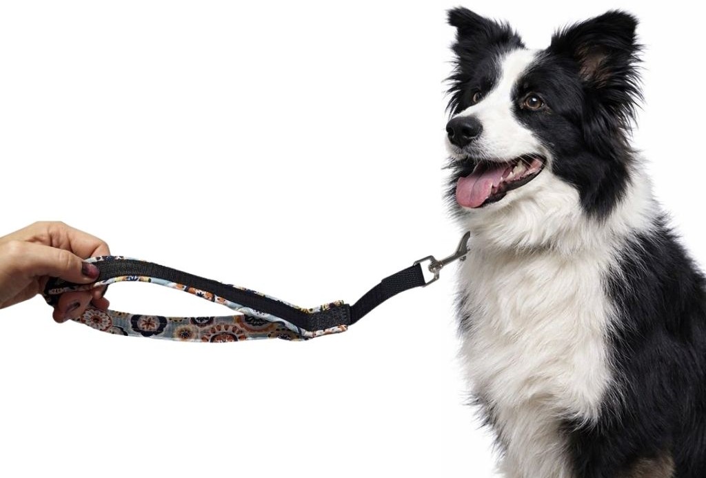 couračka pro psa v praxi